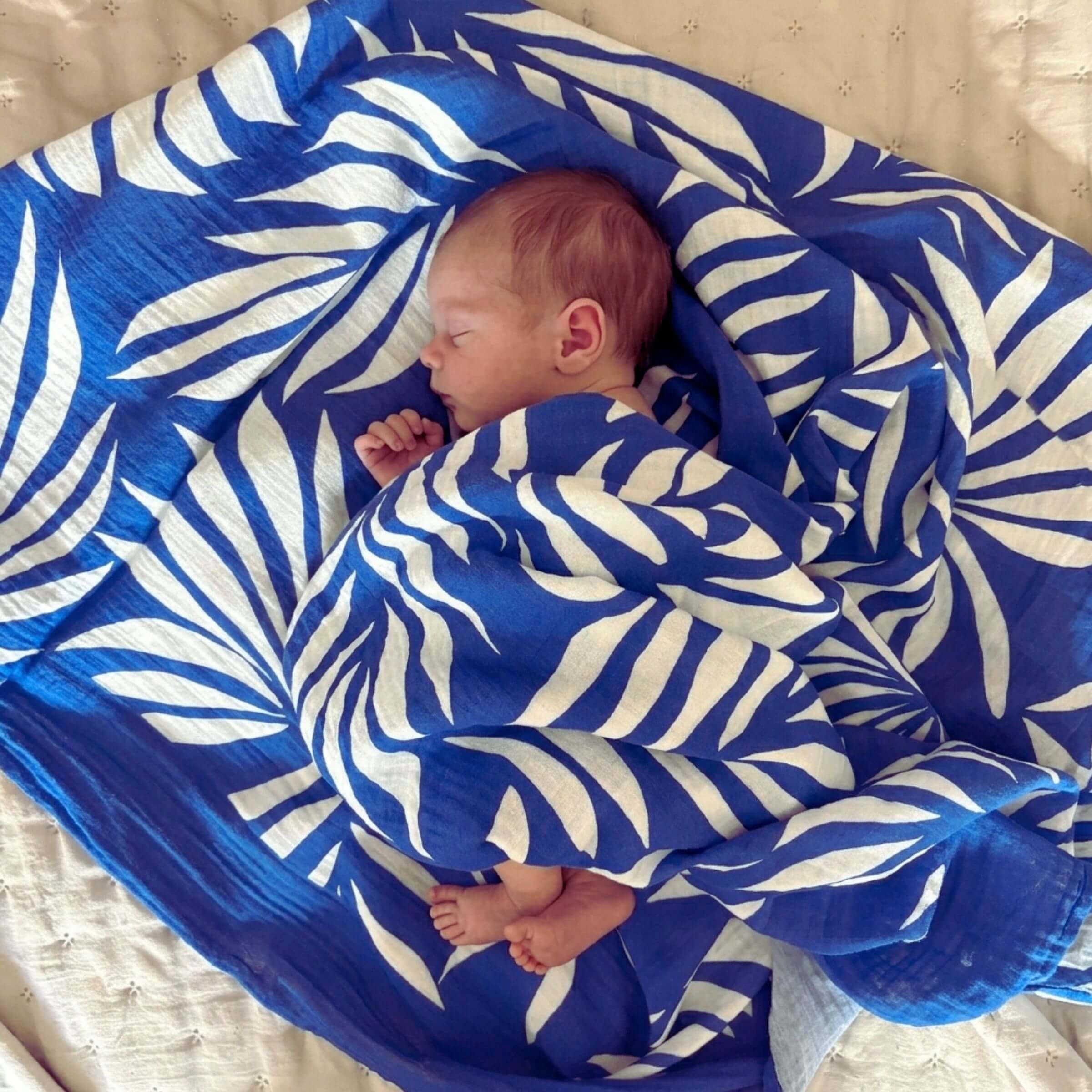 newborn wrapped in large organic muslin blanket
